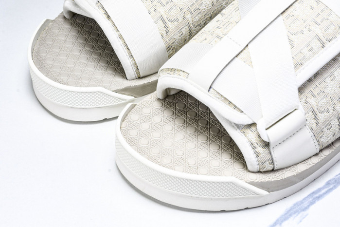 D1R* SLIDE copshoe DR-SLIDE 019