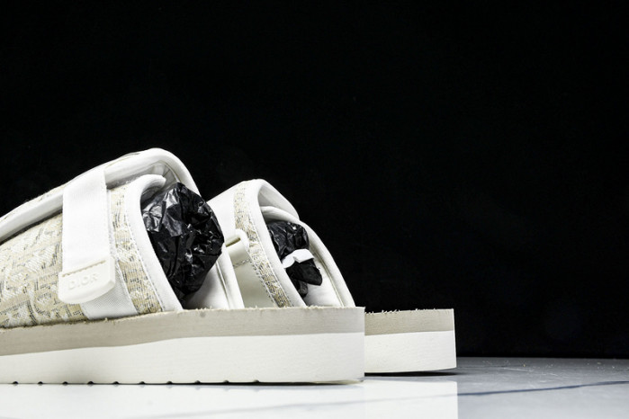 D1R* SLIDE copshoe DR-SLIDE 019