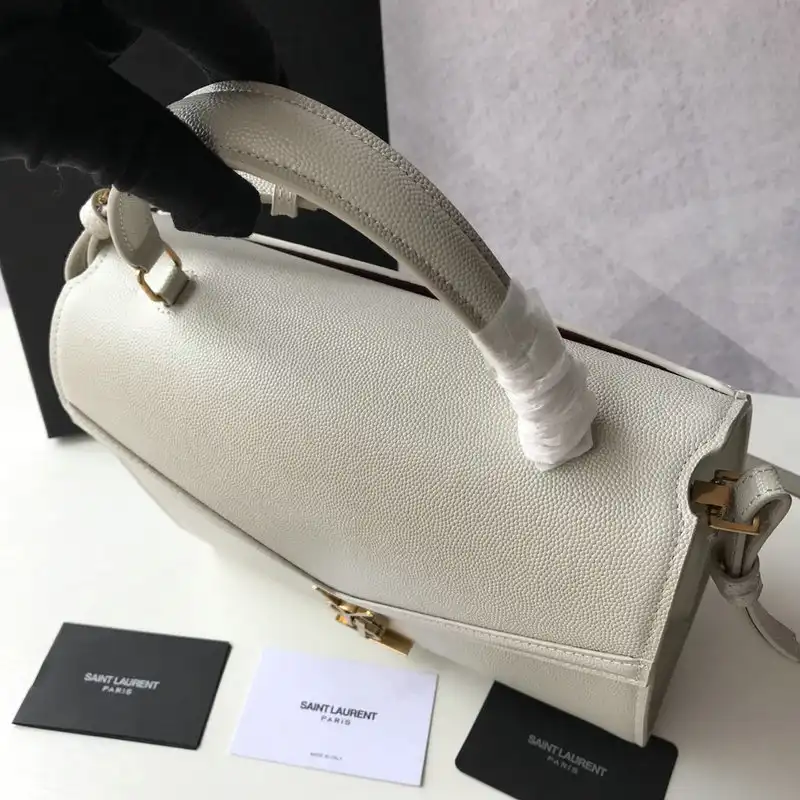 Y51 bags 2010b570016