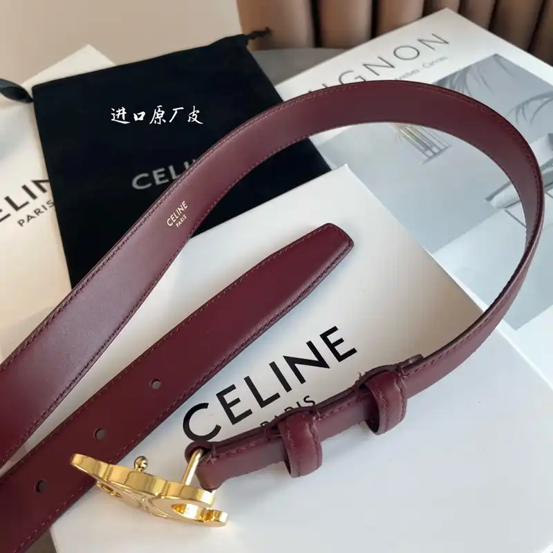 Ce1i*e belts 2210xf0024