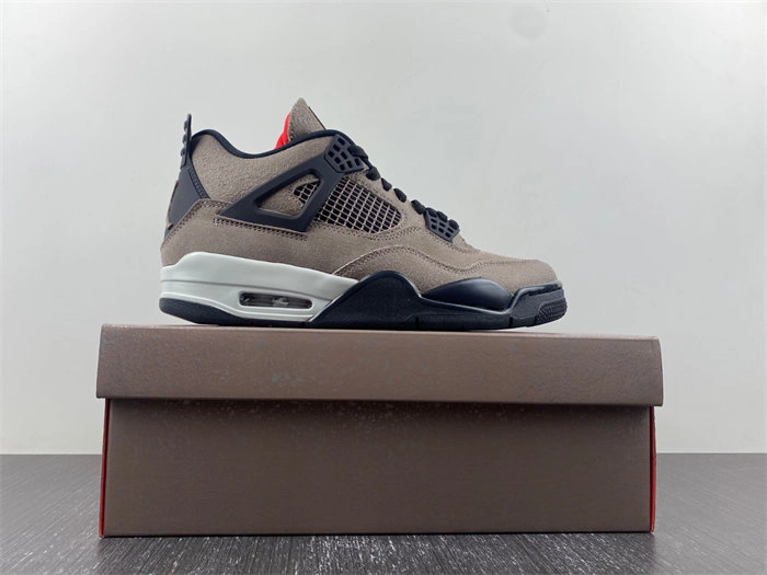 Jordan 4 Retro Taupe Haze DB0732- Bright 3856